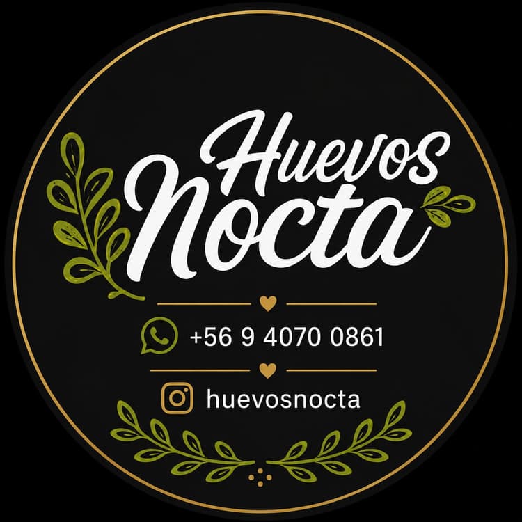 Logo Huevos Nocta