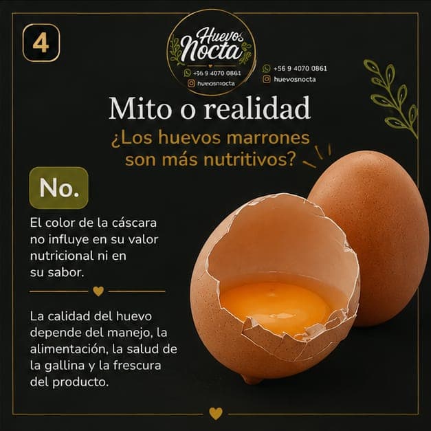 Mito o realidad: los huevos marrones son más nutritivos